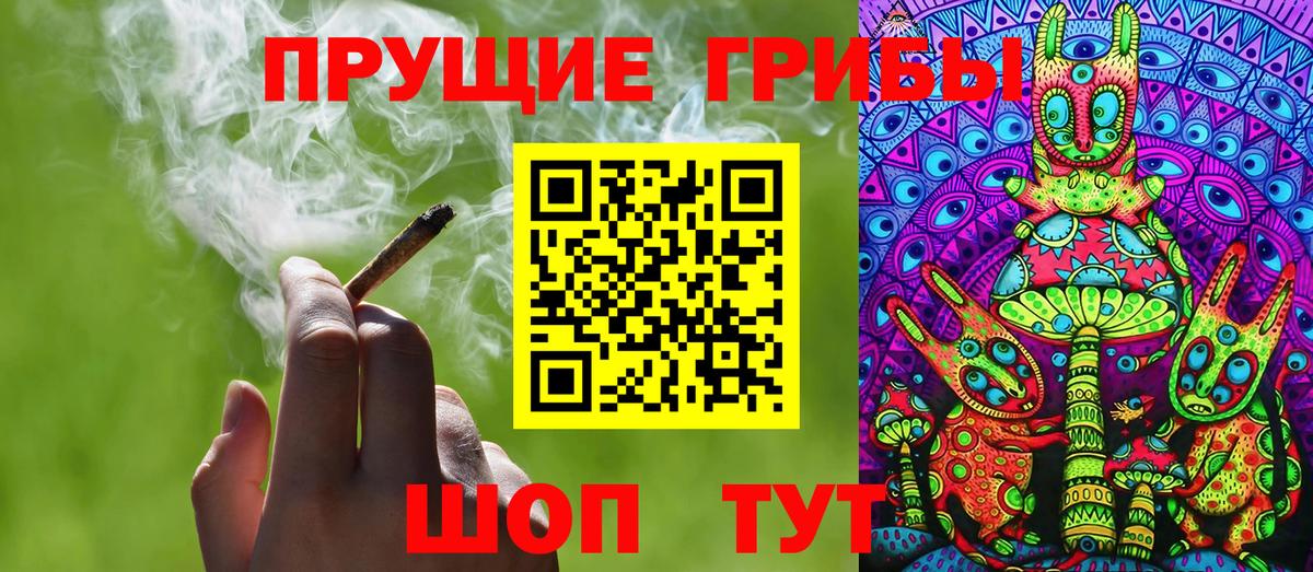 Галлюциногенные грибы Psilocybine cubensis Бирск