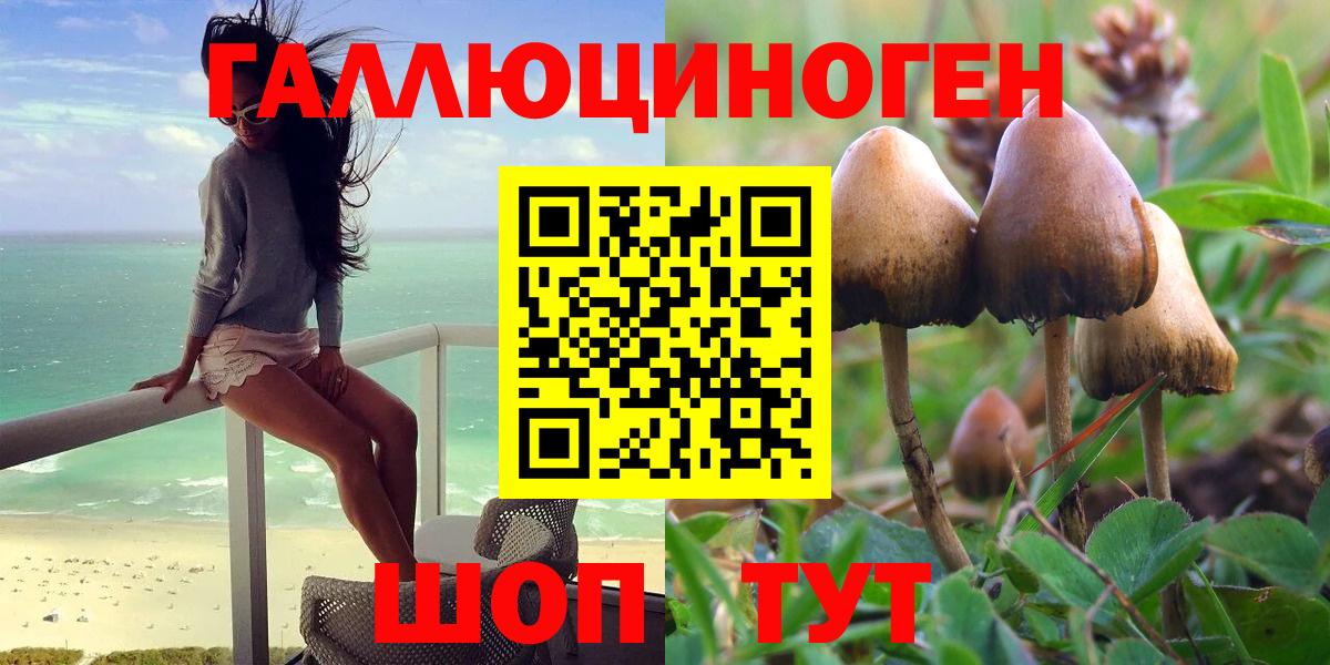 Галлюциногенные грибы MAGIC MUSHROOMS  Вход с VPN  хочу   Бирск 