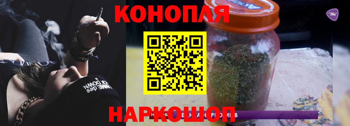 Бошки Шишки семена Бирск